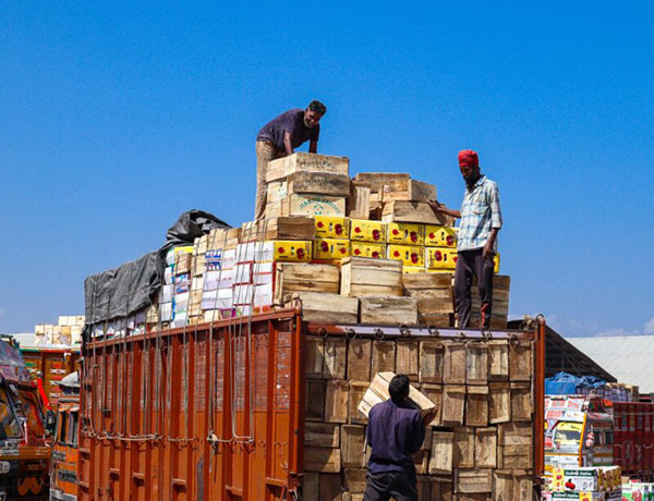 loading Maviy Logistics